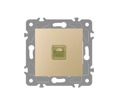 ELDLUX ELDGROUND 1×RJ45 Cat.6 UTP aljzat arany