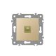 ELDLUX ELDGROUND 1×RJ45 Cat.6 UTP aljzat arany